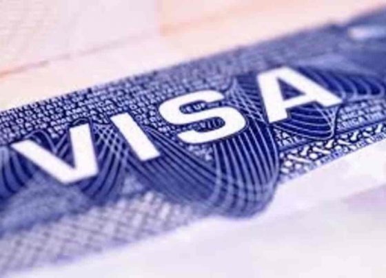 Turkey Visa,Turkey Government,COVID,COVID-19,Coronavirus,Turkey Visa Reappy,Turkey Visa Apply