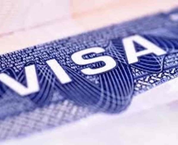 Turkey Visa,Turkey Government,COVID,COVID-19,Coronavirus,Turkey Visa Reappy,Turkey Visa Apply