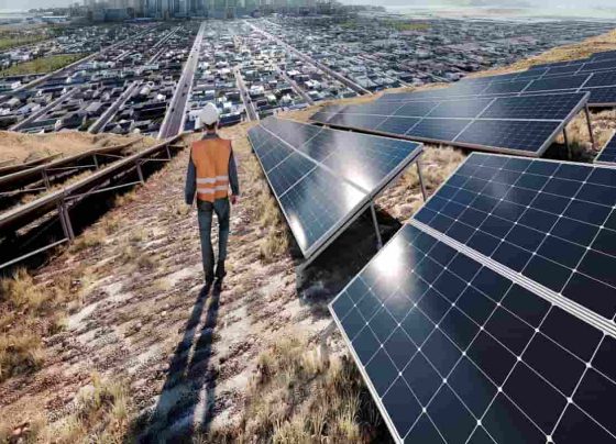 FIMER,FIMER Japan,FIMER Tokyo,Business News