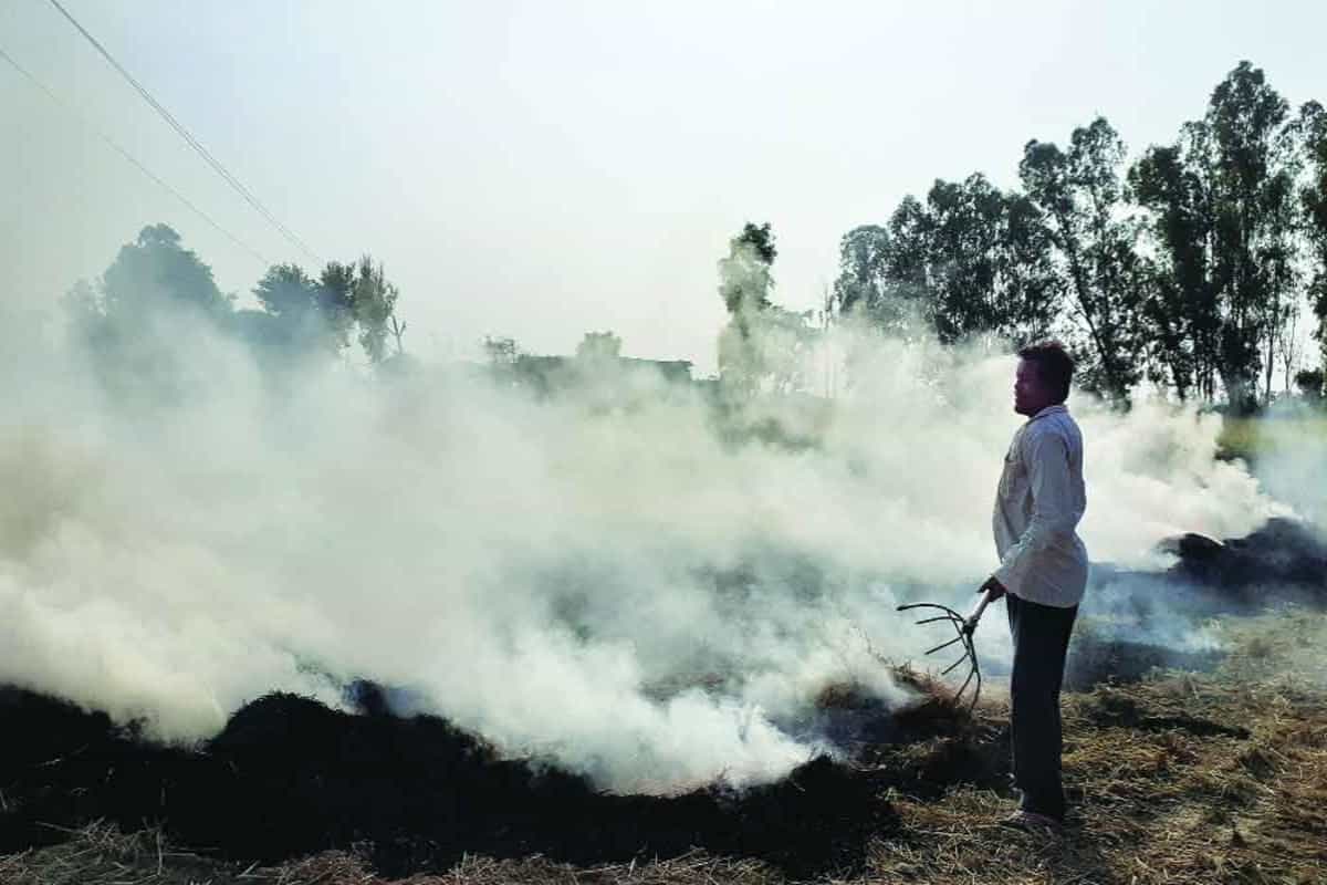 UP farmers fume at stubble burning whip