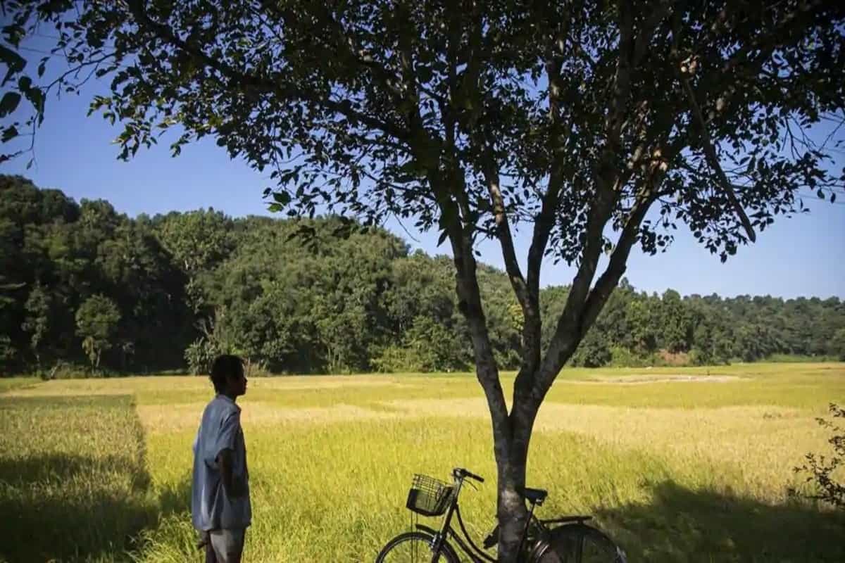 Govt readies database to ease farm economy