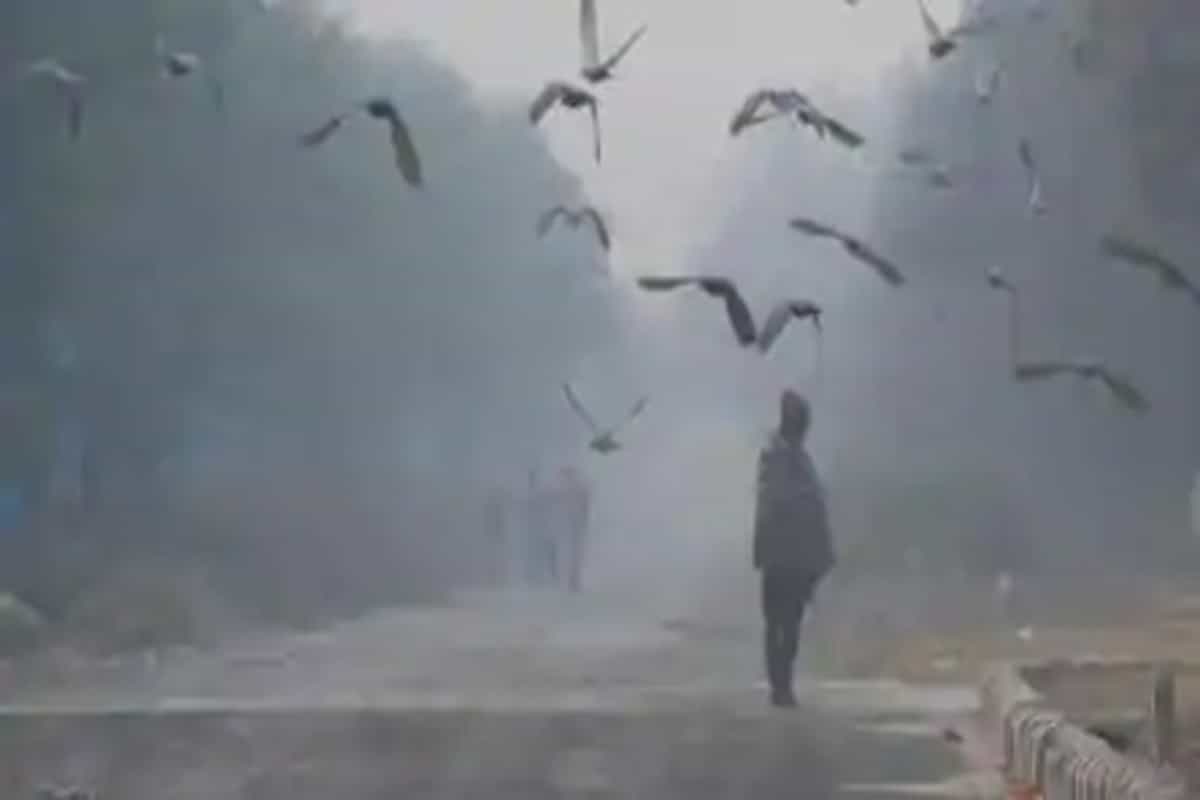 Minimum temperature in Delhi falls below 10°C-mark for the first time; Met says further chill expected from Sunday