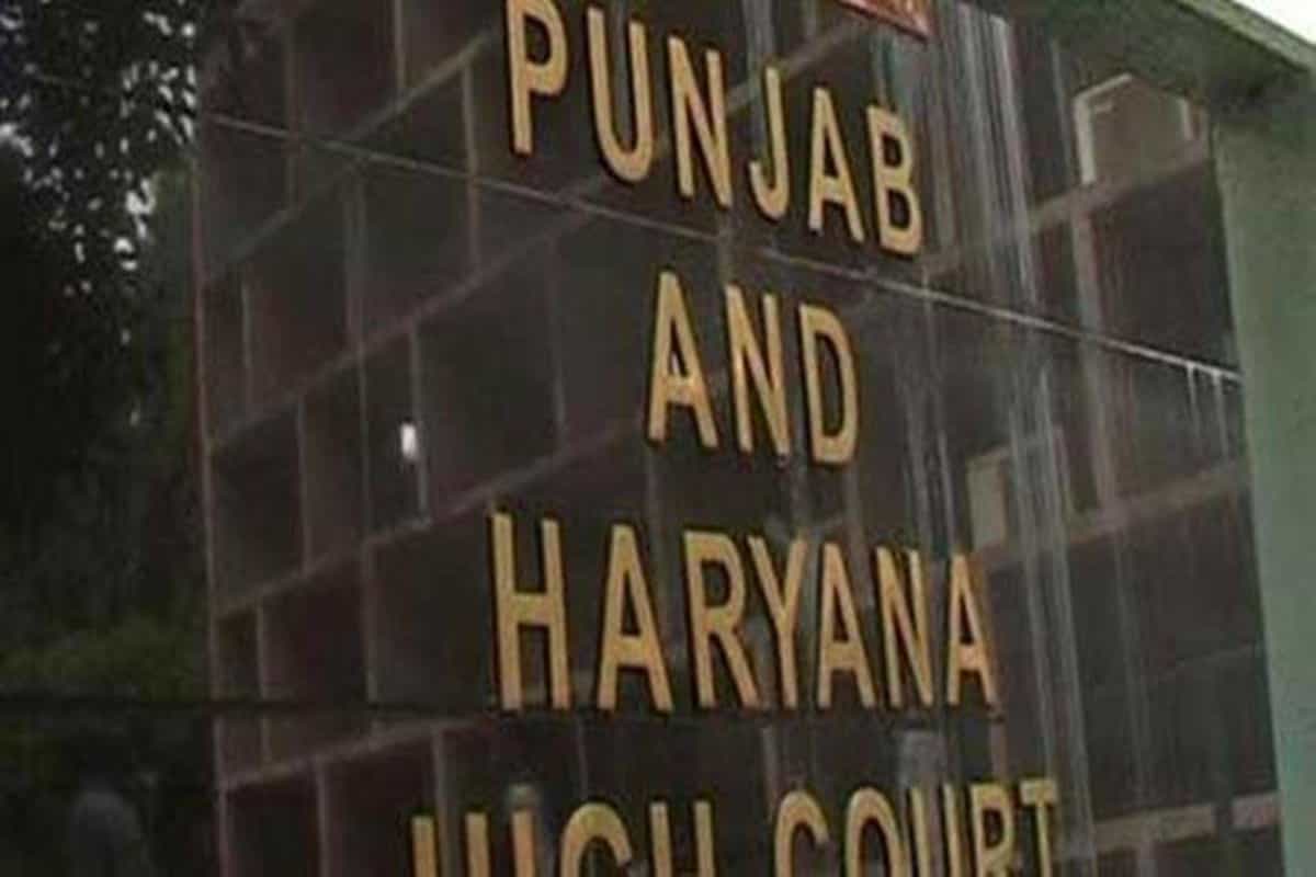 Punjab: HC allows 27 students declared ineligible for teaching posts to take written exam