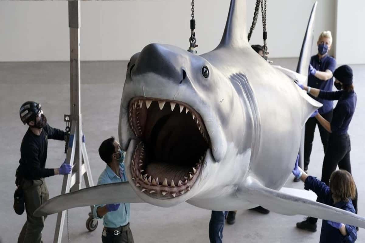 Bruce, the last Jaws shark, docks at the Academy Museum