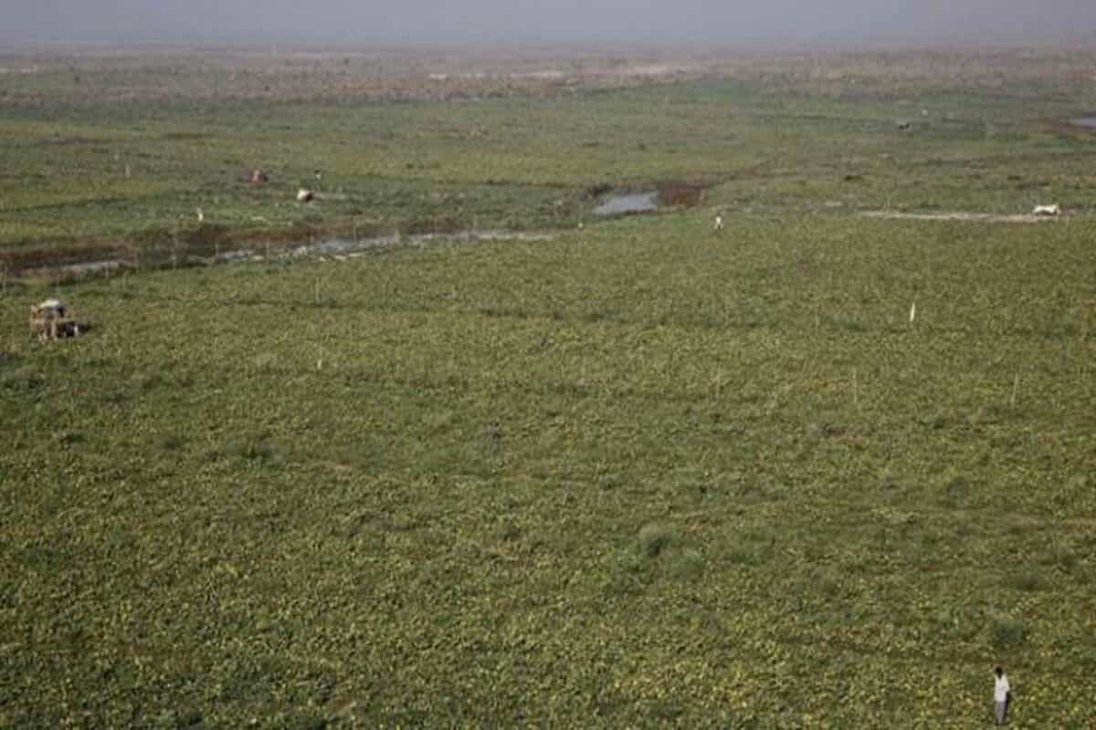 Partition of co-shared land may benefit ‘land sharks’ more than the common man