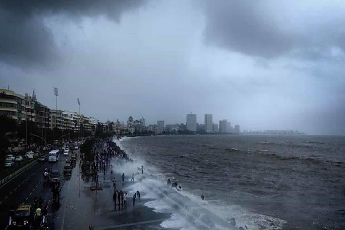 Mumbai: ‘Blue tide’ spotted along Juhu, Devgad, Ratnagiri beaches