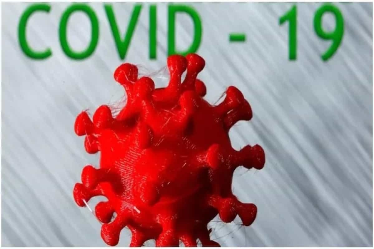 Novel coronavirus may enter brain via nose, finds new study