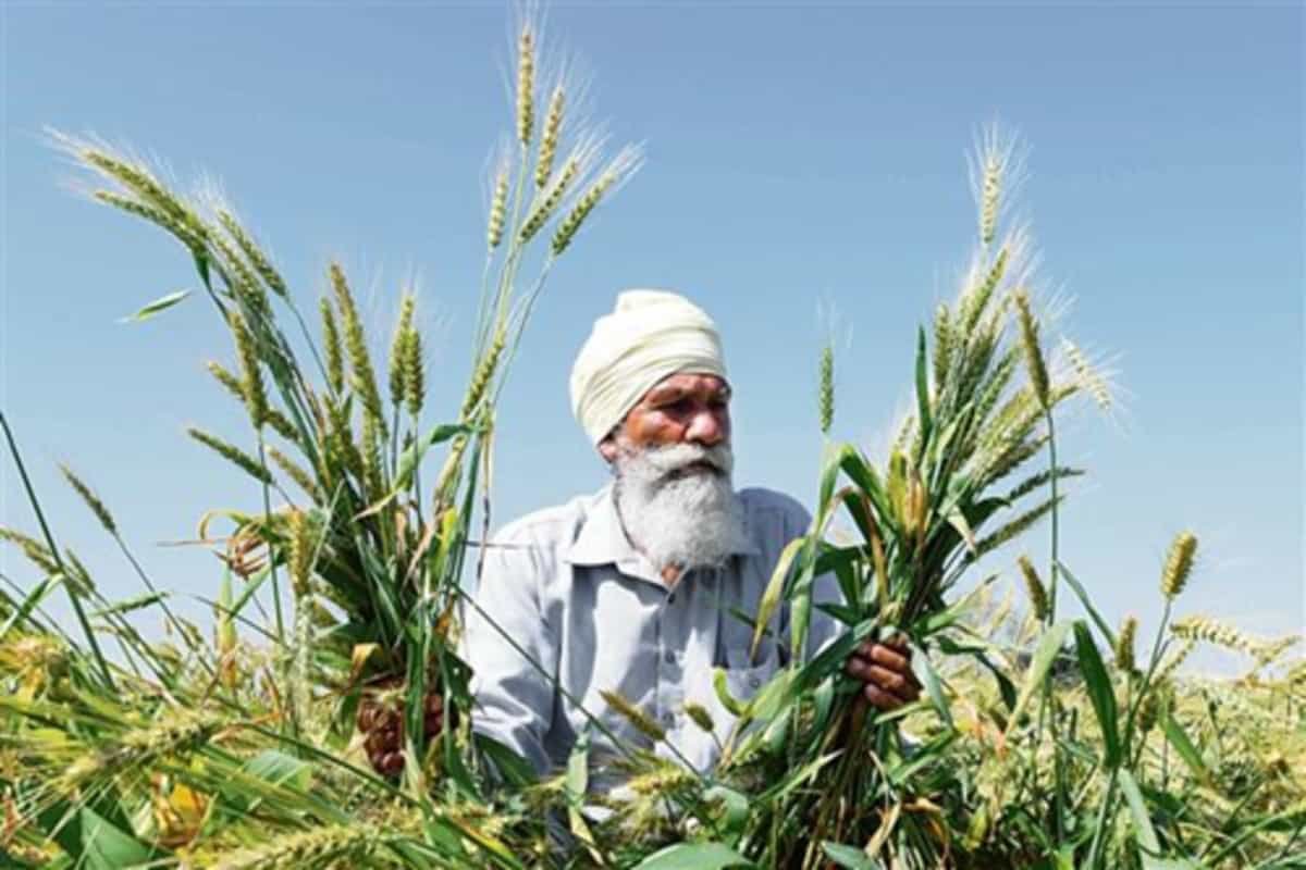Farmers’ forum receives proposal from govt, meets to analyse it at Singhu border