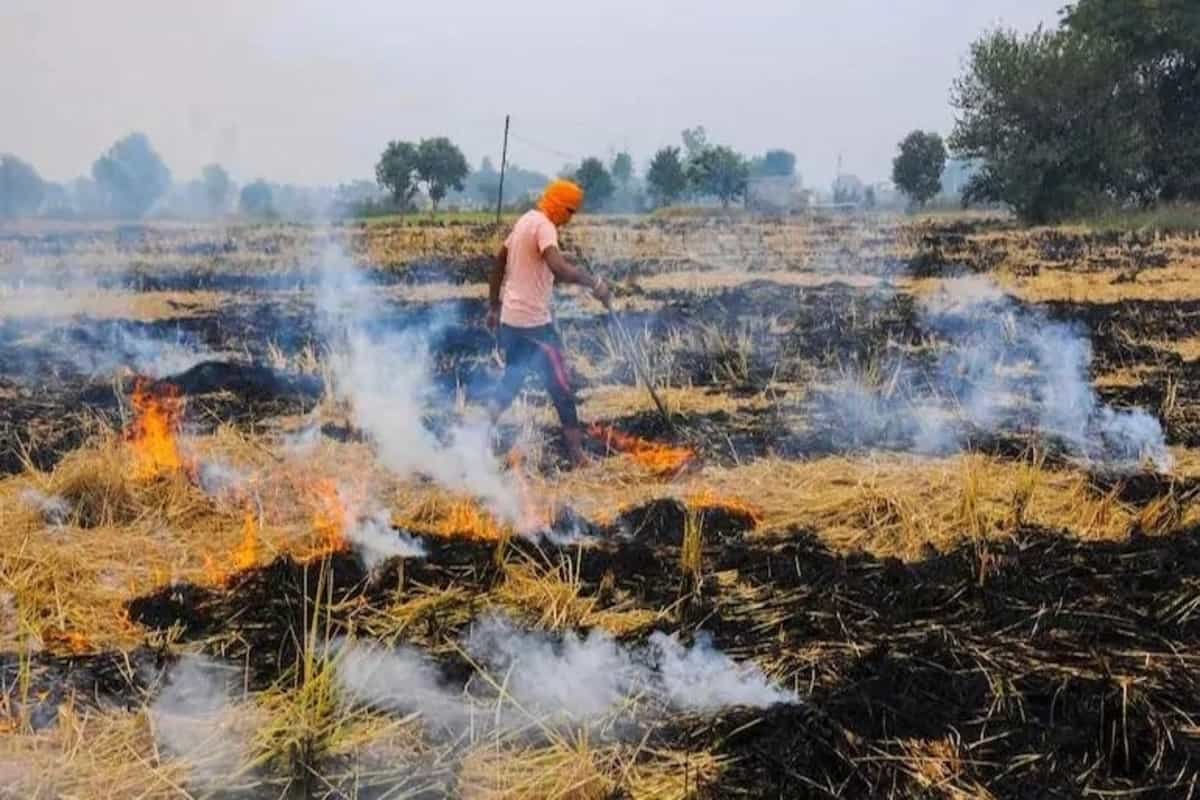 Stubble burning cases in Punjab 44% more this year than 2019, Centre submits report to SC