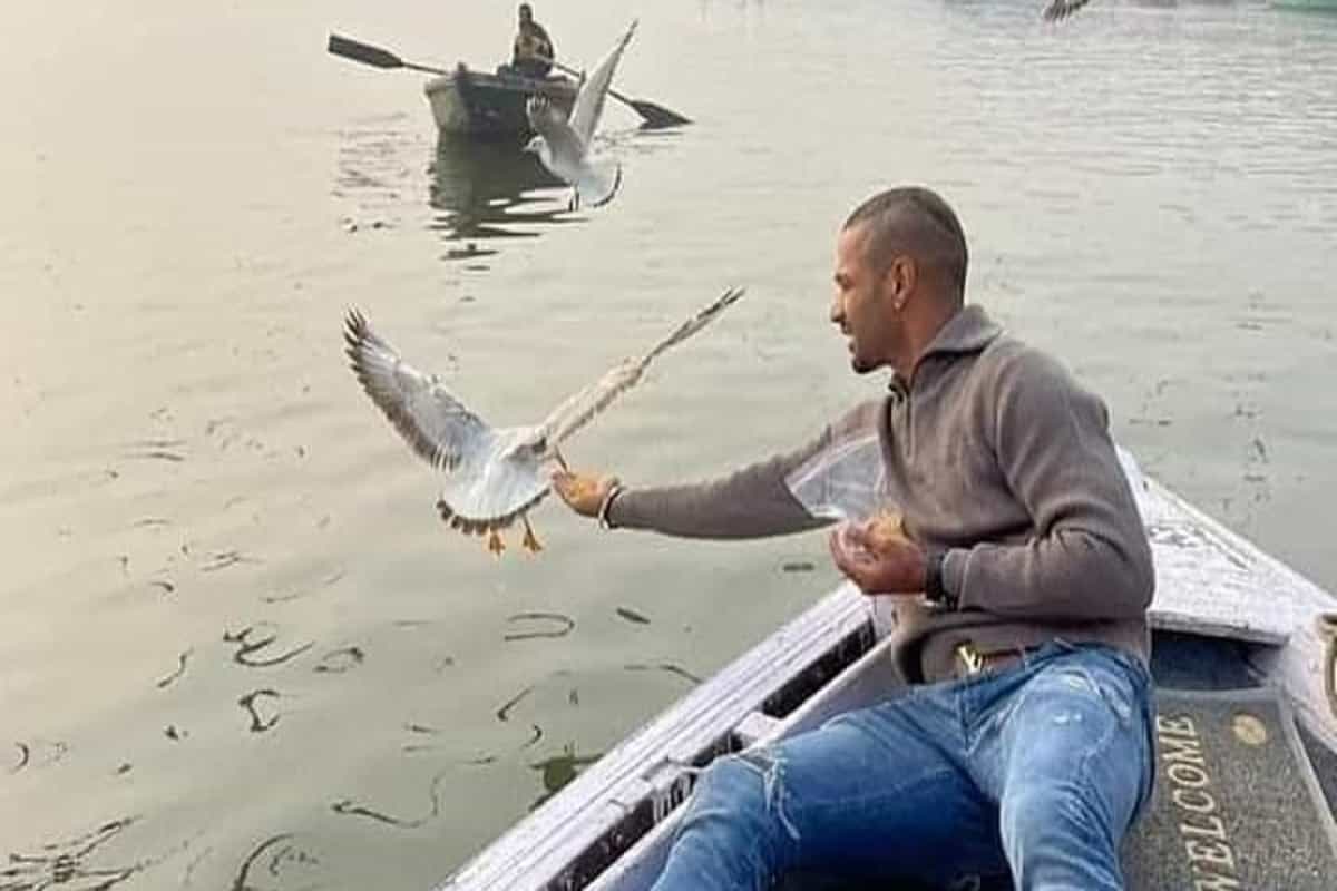 Varanasi Boatmen Fined as Photos of Shikhar Dhawan Feeding Birds amid Bird Flu Go Viral