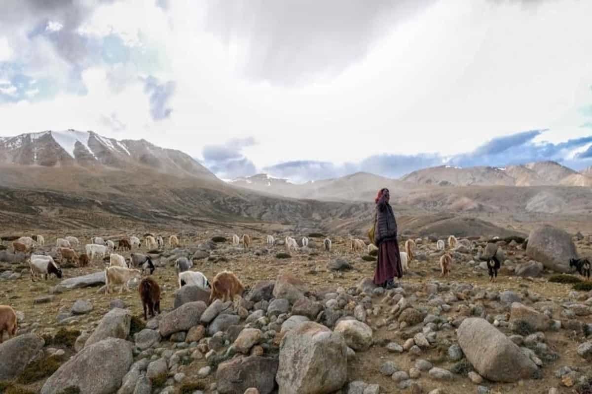 Indian, Chinese troops clashed in north Sikkim last week: Officials