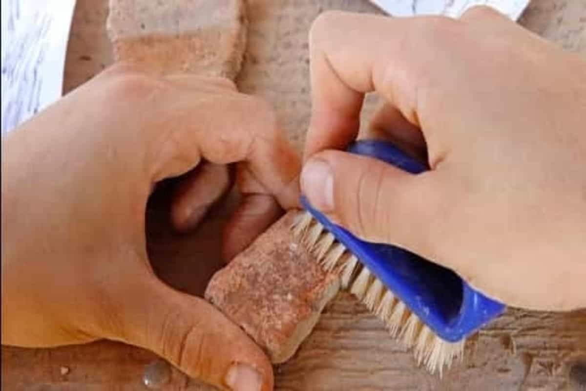 Excavation at ancient Buddhist university site in Bihar’s Telhara set to resume