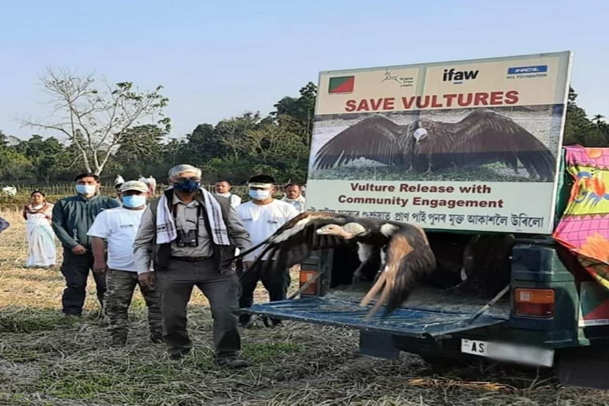 In Assam, villagers perform ‘shraddha’ to honour memory of dead vultures