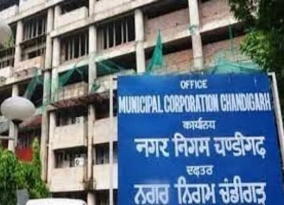 Municipal Corporation of Chandigarh Recruitment: Apply for 172 posts from Apr 8