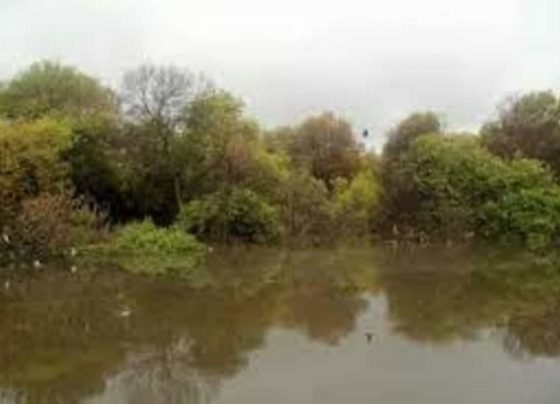 ‘Transfer forest land for BKC, Dharavi stations for Metro-3’