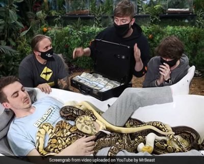 $10,000 to sit in a tub of snakes! YouTuber’s challenge leaves netizens shocked