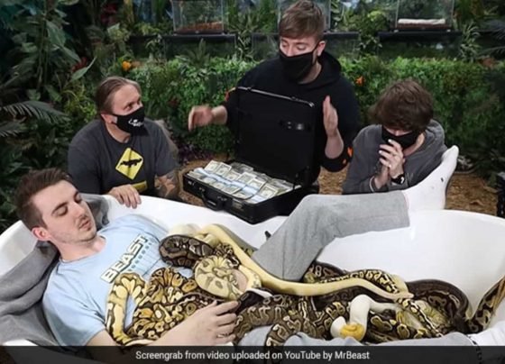$10,000 to sit in a tub of snakes! YouTuber’s challenge leaves netizens shocked