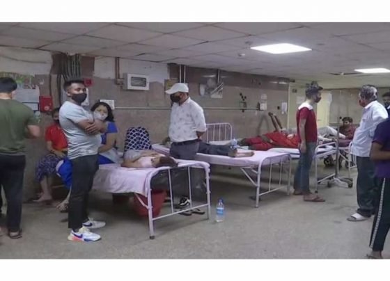 At least 500 take ill after consuming buckwheat flour