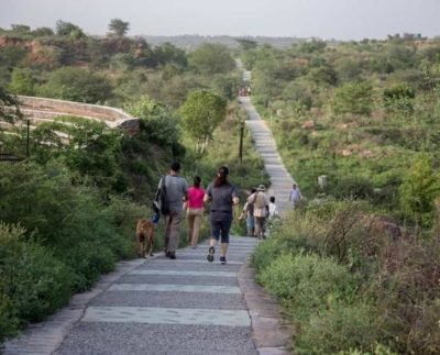 MCG signs agreement for private firm to maintain Aravalli park