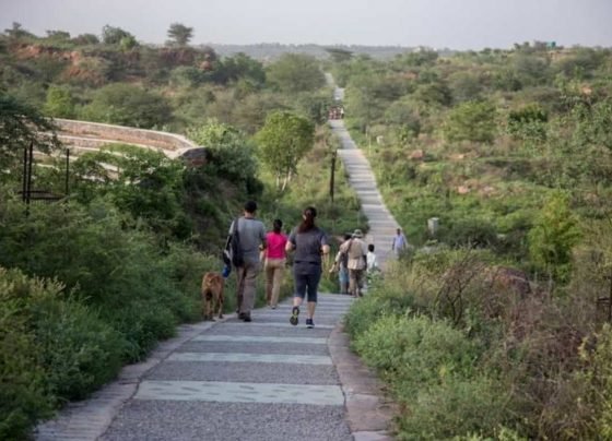 MCG signs agreement for private firm to maintain Aravalli park