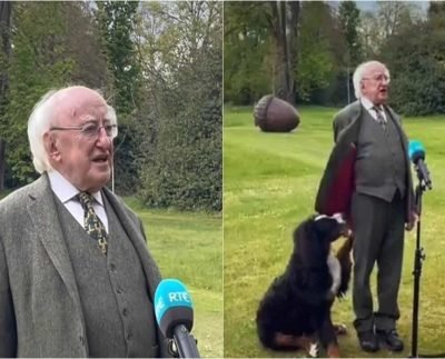 Irish president’s pet dog demands pets mid-interview, video is aww-worthy