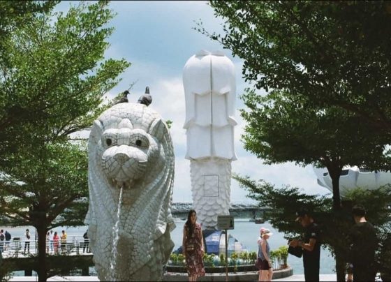 Singapore to assess Hong Kong travel bubble amid sudden spike in Covid-19 cases