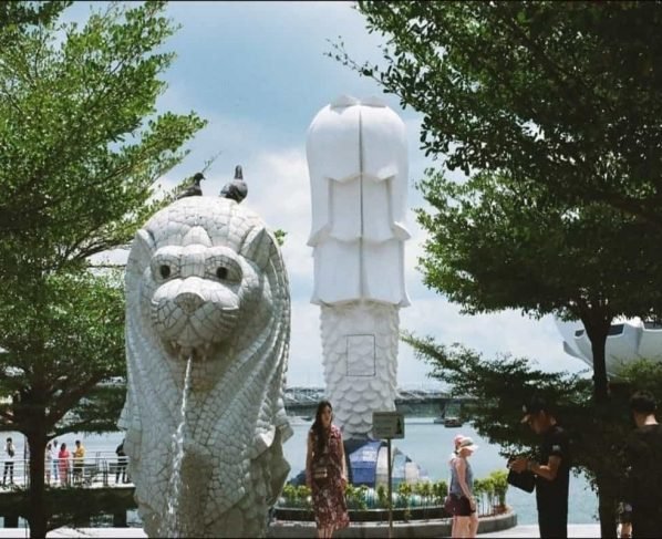 Singapore to assess Hong Kong travel bubble amid sudden spike in Covid-19 cases