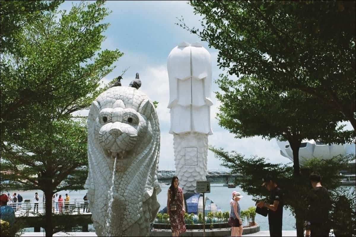 Singapore to assess Hong Kong travel bubble amid sudden spike in Covid-19 cases