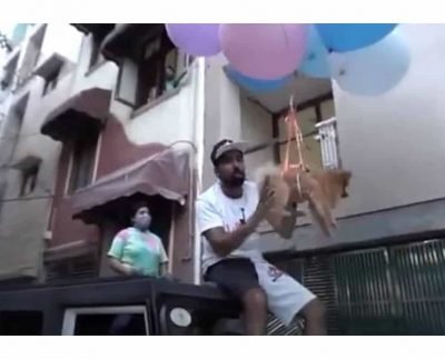 Delhi YouTuber makes pet dog fly using balloons in video, arrested for animal cruelty