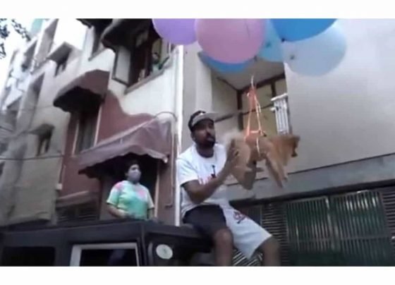 Delhi YouTuber makes pet dog fly using balloons in video, arrested for animal cruelty