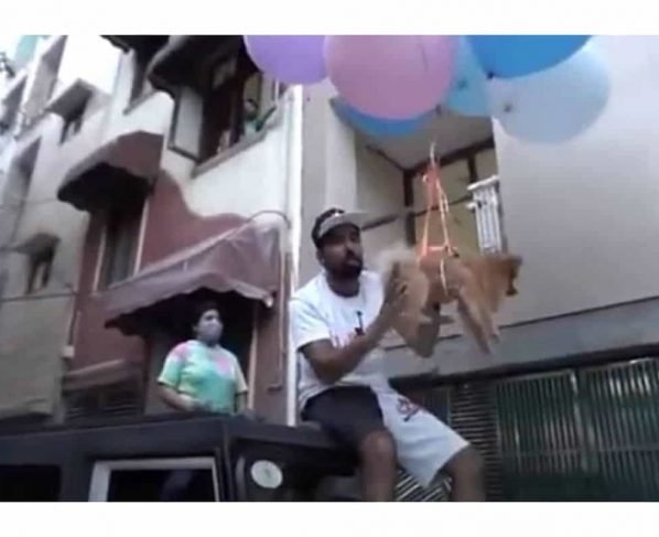 Delhi YouTuber makes pet dog fly using balloons in video, arrested for animal cruelty