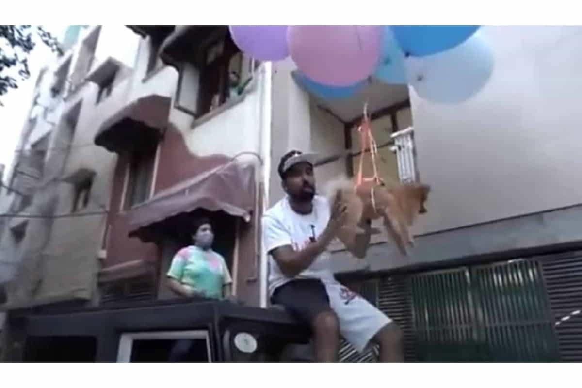 Delhi YouTuber makes pet dog fly using balloons in video, arrested for animal cruelty