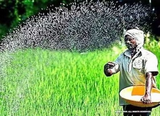 Center's big decision in favour of farmers! 'Subsidy' on 'DAP fertilizer' increased from Rs 500 to Rs 1200 per bag
