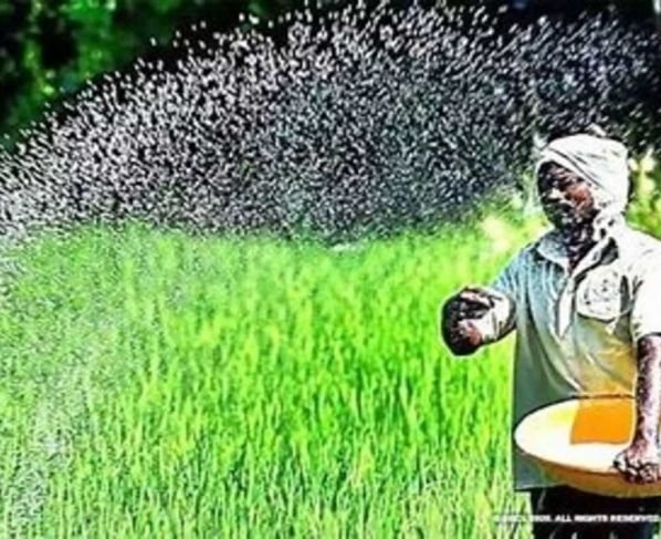 Center's big decision in favour of farmers! 'Subsidy' on 'DAP fertilizer' increased from Rs 500 to Rs 1200 per bag