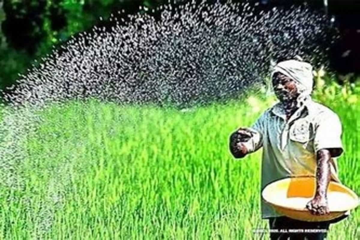 Center’s big decision in favour of farmers! ‘Subsidy’ on ‘DAP fertilizer’ increased from Rs 500 to Rs 1200 per bag
