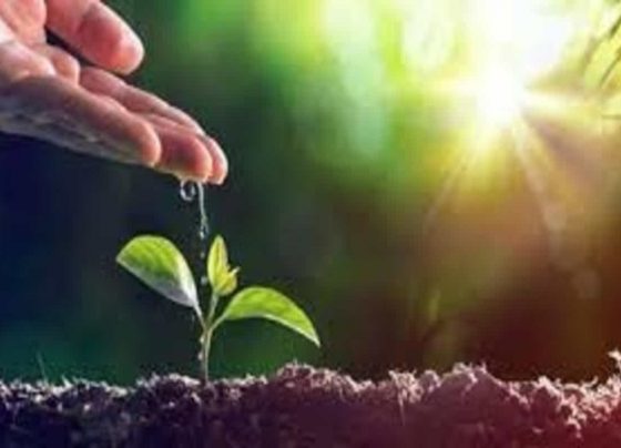 World Environment Day: Bollywood actors share the lifestyle changes they made in the past year