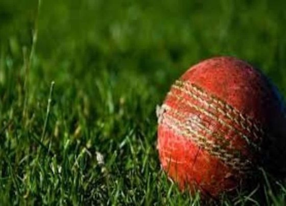 KSV vs VFB Dream11 Team Prediction, Kummerfelder Sportverein vs VfB Fallersleben Live Streaming, Live Score, Squads: ECS T10 Kiel 2021