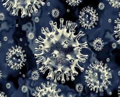 Covid-19 Latest Update Kappa Variant - New Variant of Coronavirus