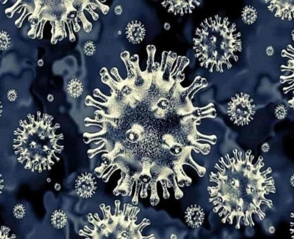 Covid-19 Latest Update Kappa Variant - New Variant of Coronavirus