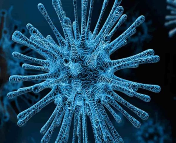 Corona virus update India recorded 43,509 new Covid -19 cases and 634 deaths – In Last 24 hours