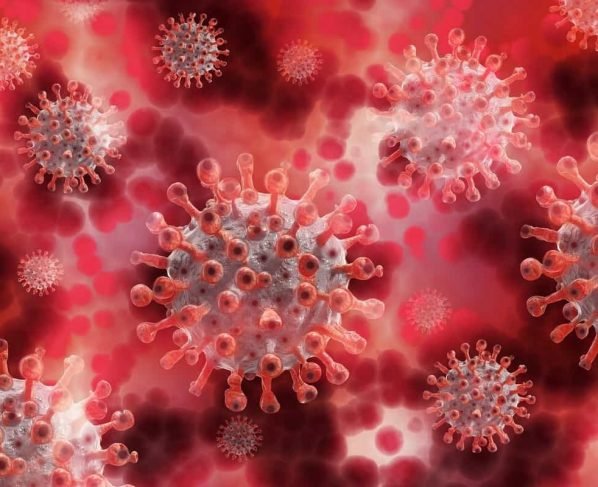 Corona virus update : India recorded 41,157 new Covid -19 cases and 518 deaths – Last 24 hour