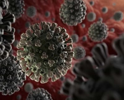Corona virus update : India recorded 38,949 new Covid -19 cases and 542 death – From last 24 hours