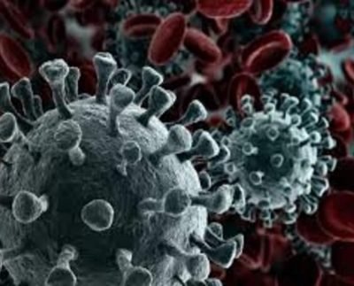 Corona virus update - Last 24 hours 44000 new cases reported and 738 deaths
