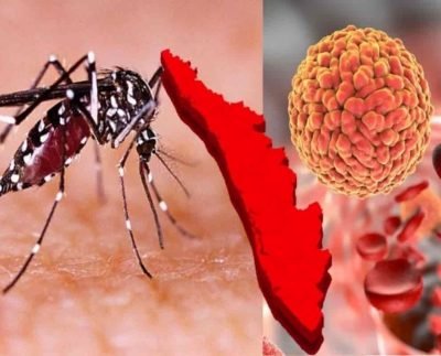 Kerala reported cases of Zikavirus: Past few days, Kerala reported cases of new variant that is Zikavirus -Know more details below