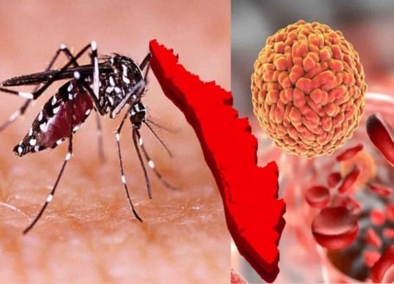 Kerala reported cases of Zikavirus: Past few days, Kerala reported cases of new variant that is Zikavirus -Know more details below
