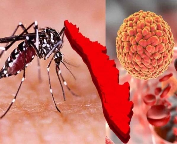 Kerala reported cases of Zikavirus: Past few days, Kerala reported cases of new variant that is Zikavirus -Know more details below