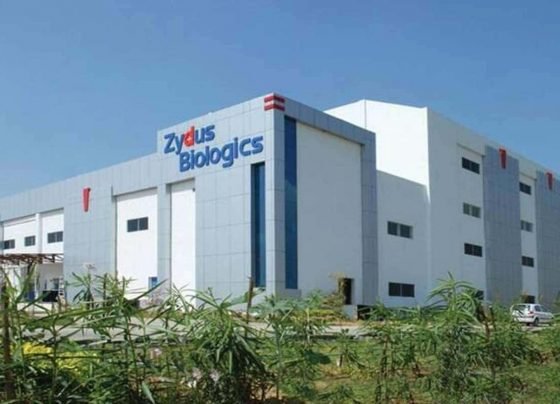Zydus Cadila aims to produce 1 crore Covid-19 vaccine doses per month
