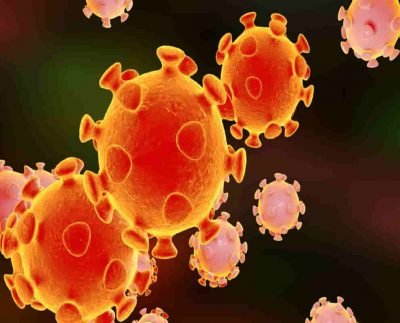 Coronavirus live update: India recorded 36,083 new Covid-19 cases 493deaths– Last 24 hours