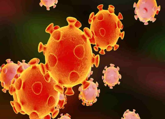 Coronavirus live update: India recorded 36,083 new Covid-19 cases 493deaths– Last 24 hours