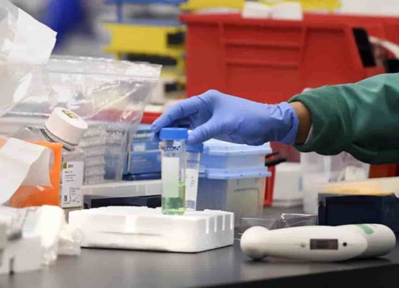 India could enter in the local state of Covid - WHO chief scientist